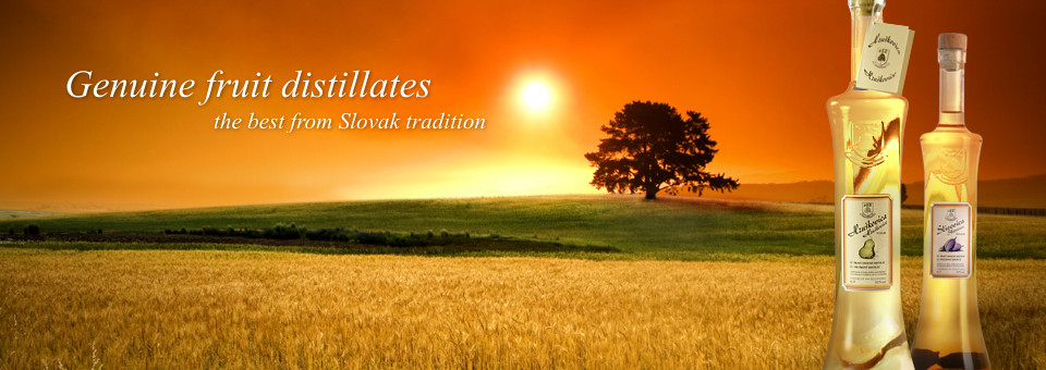 prave ovocne destilaty