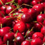 Cherry distillate 52%